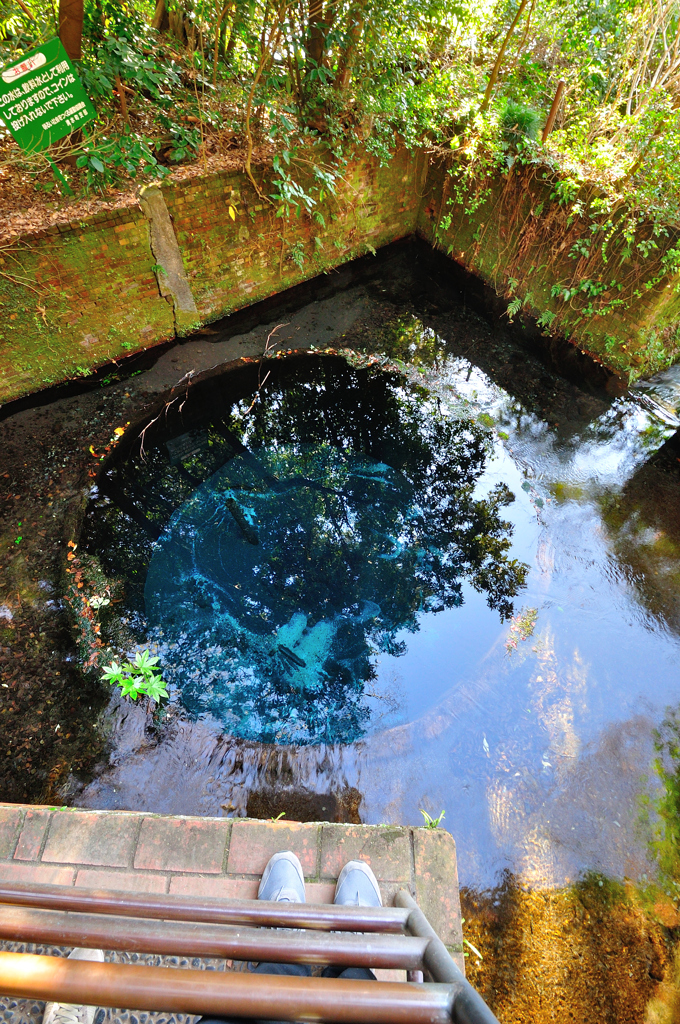 コバルトブルーの湧水