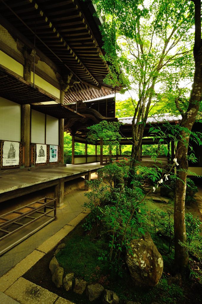 京都2014夏｜西明寺