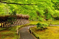 天龍寺塔頭　宝厳院