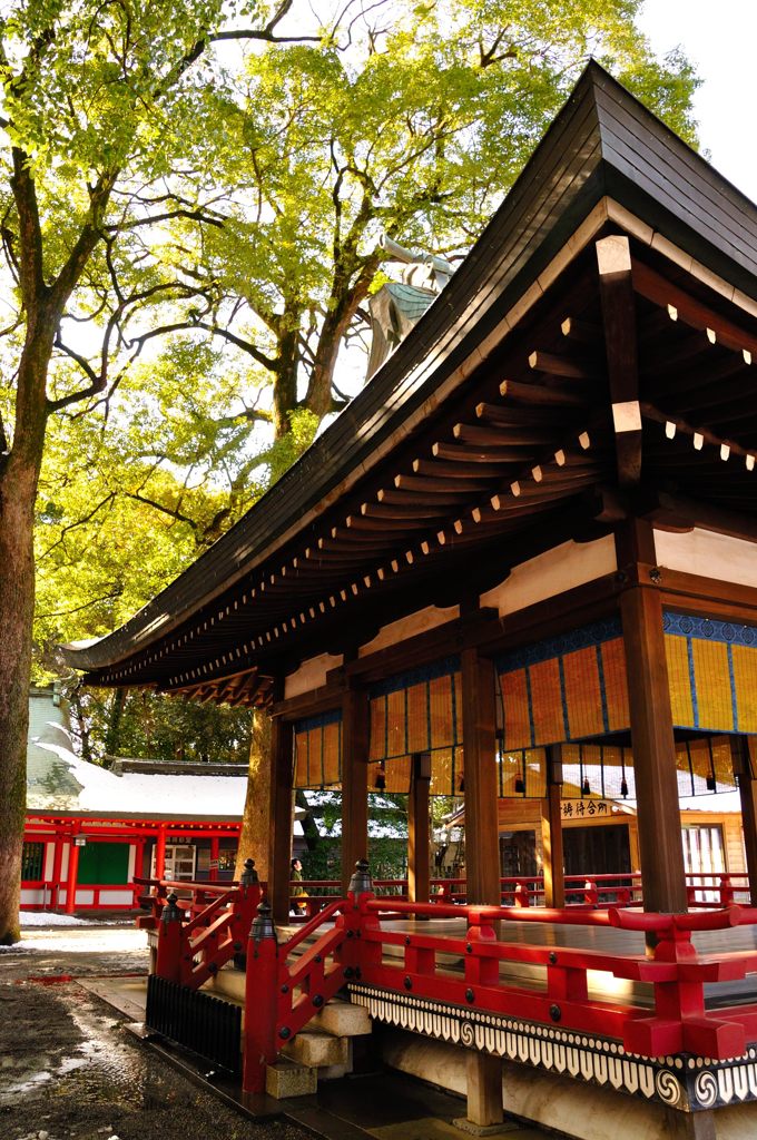 氷川神社｜舞殿
