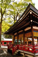 氷川神社｜舞殿