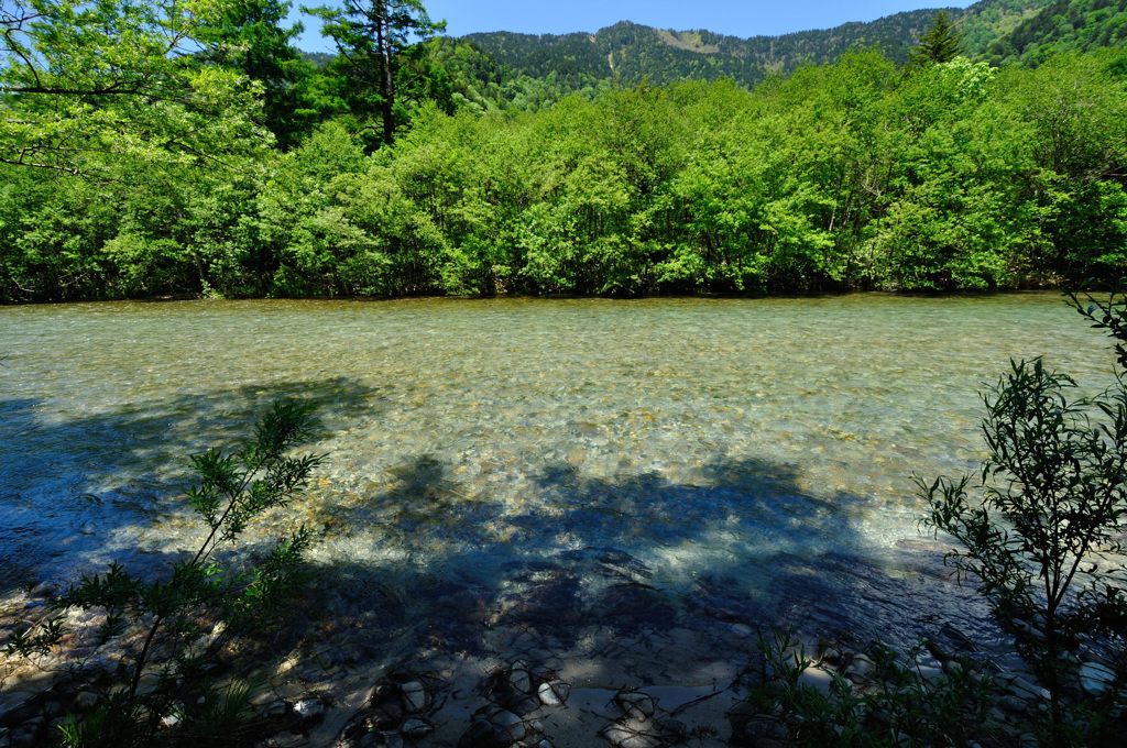 上高地｜河童橋へ向かう林道
