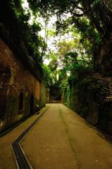 横須賀｜猿島