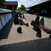 京都2014夏｜東福寺方丈　