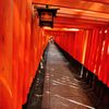 京都2014夏｜伏見稲荷