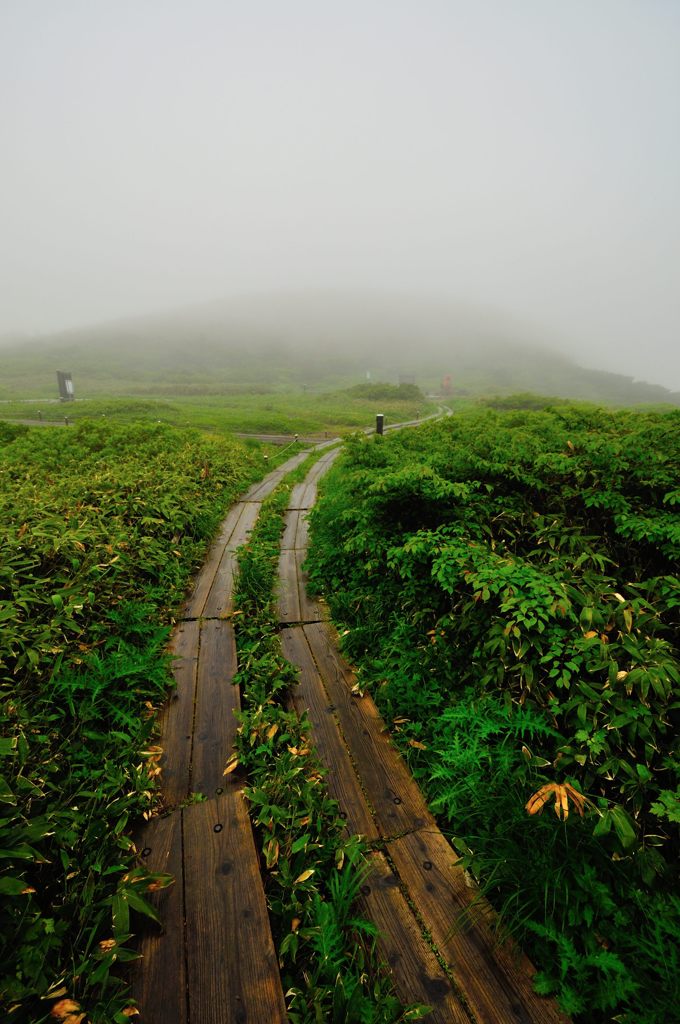 山形｜地蔵山登山道