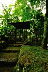 京都2014夏｜高山寺