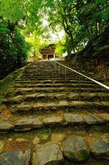 京都2014夏｜神護寺