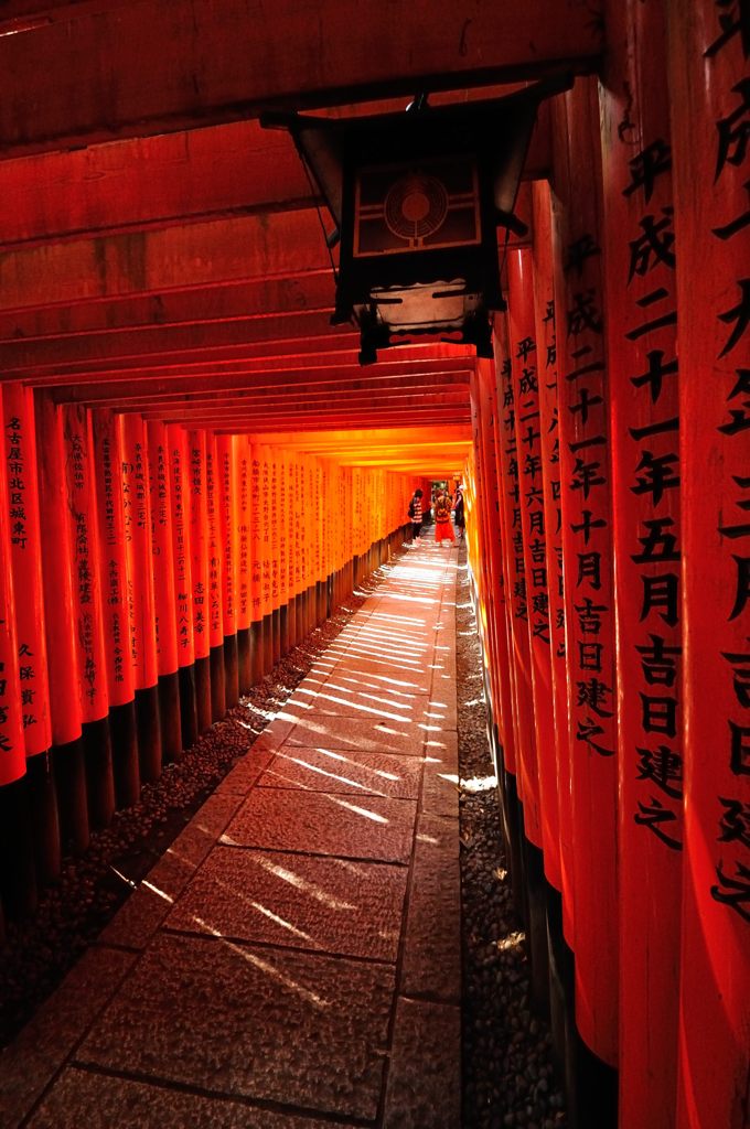 京都2014夏｜伏見稲荷