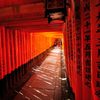 京都2014夏｜伏見稲荷