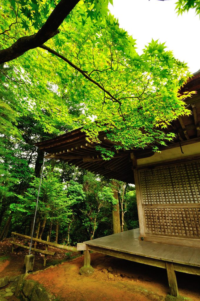 京都2014夏｜神護寺