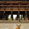 あをによし奈良｜東大寺南大門