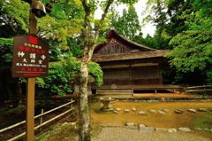 京都2014夏｜神護寺