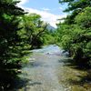 上高地｜河童橋へ向かう林道
