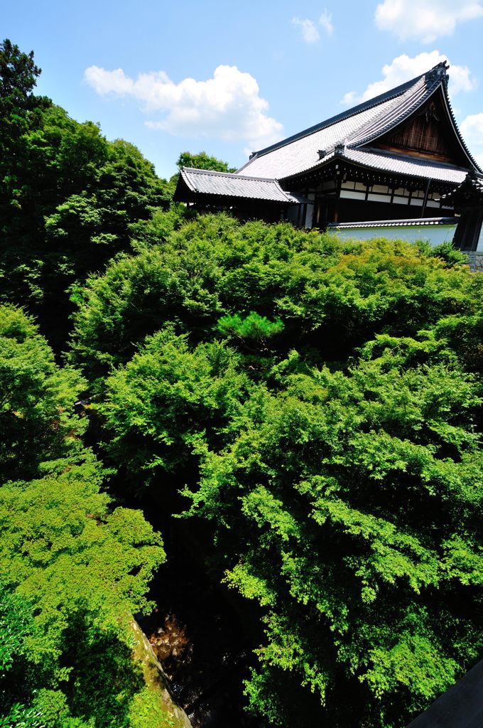 京都2014夏｜東福寺