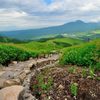 ビーナスライン｜車山登山道