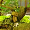 竹林院庭園にて