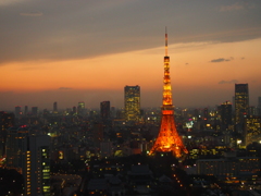 スタンダード東京タワー