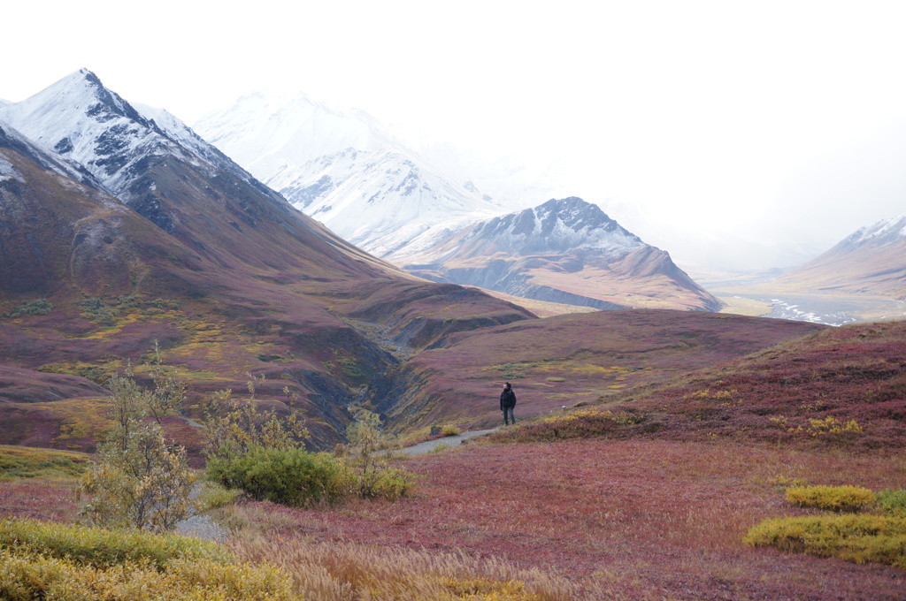 Denali