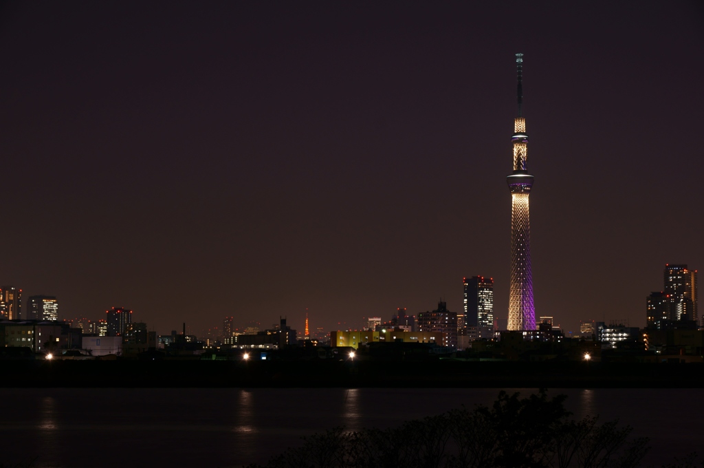 Tree＆Tower