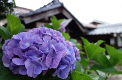 DSC01540_R
