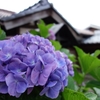 DSC01540_R