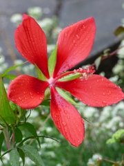 P1010059_R