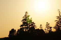 夕焼け