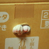 詰まったにゃ
