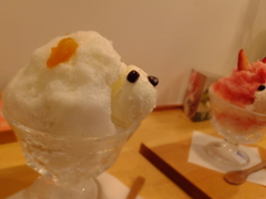DSCF2199