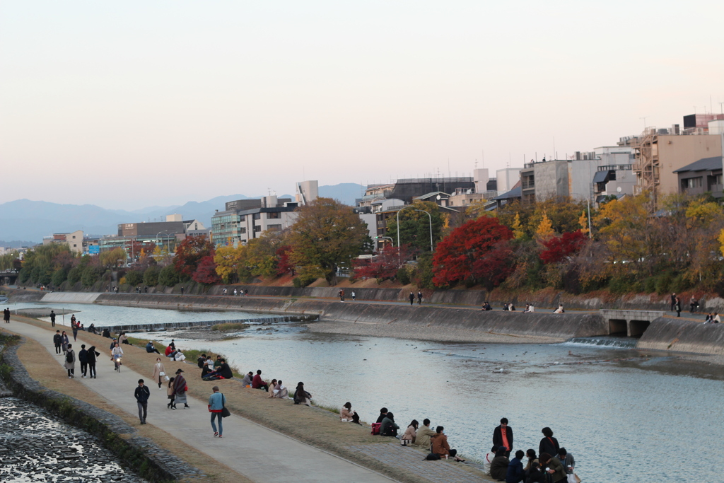 秋の鴨川　紅葉