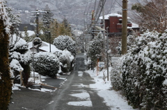 雪景色の坂道♪