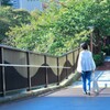 目黒川散歩１