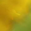 そこにあるのに