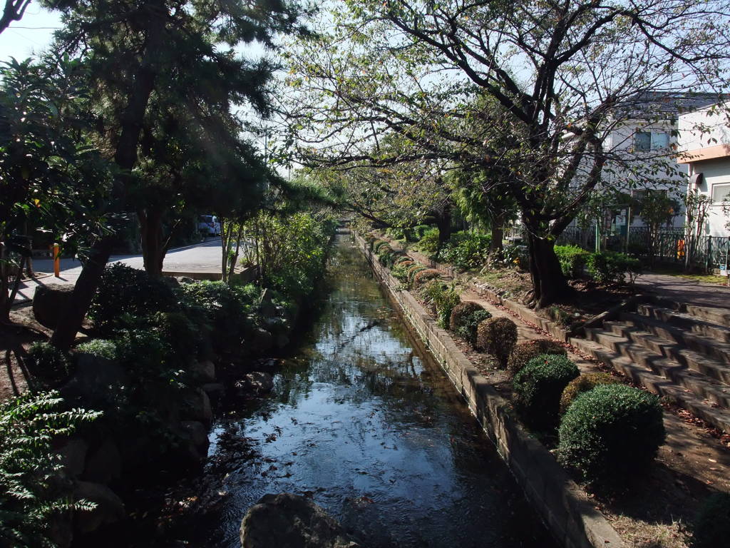 近所の小川