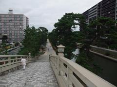 松並木 旧日光街道　埼玉草加市