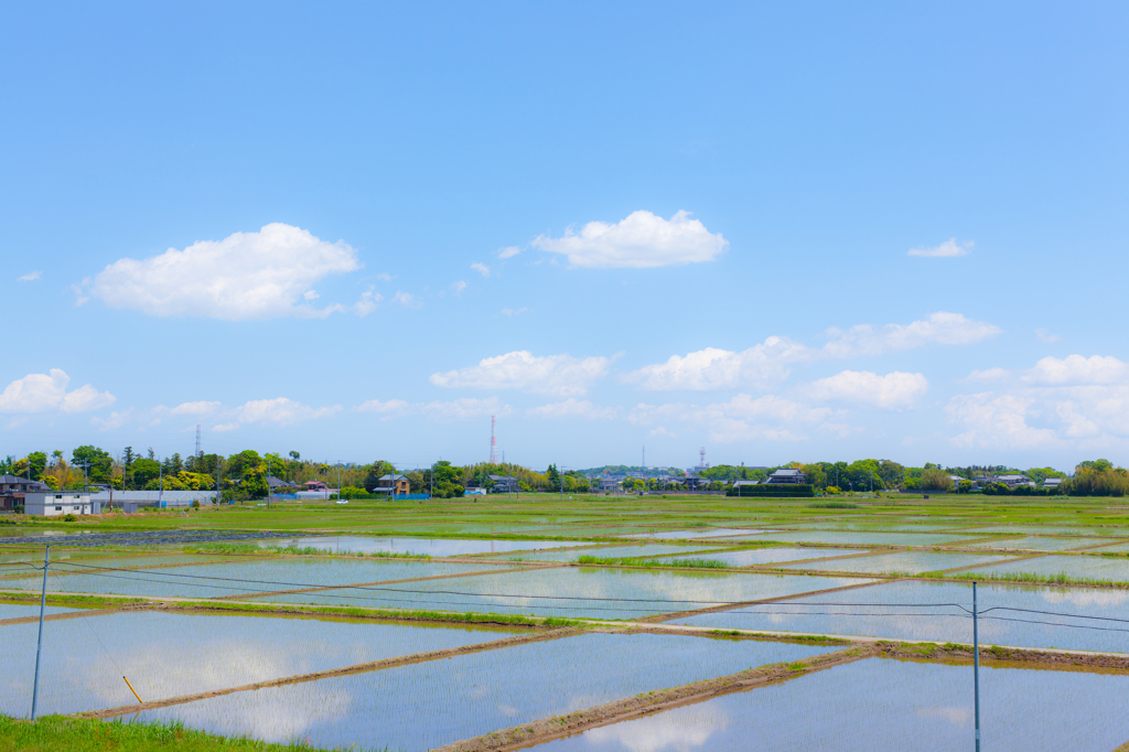 青空