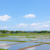 青空