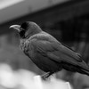 都会の空に何を見る