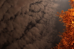 夜空
