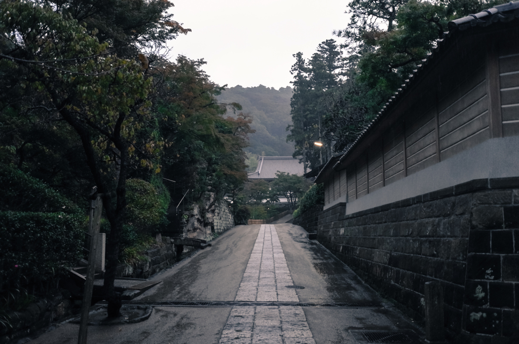 雨の円覚寺