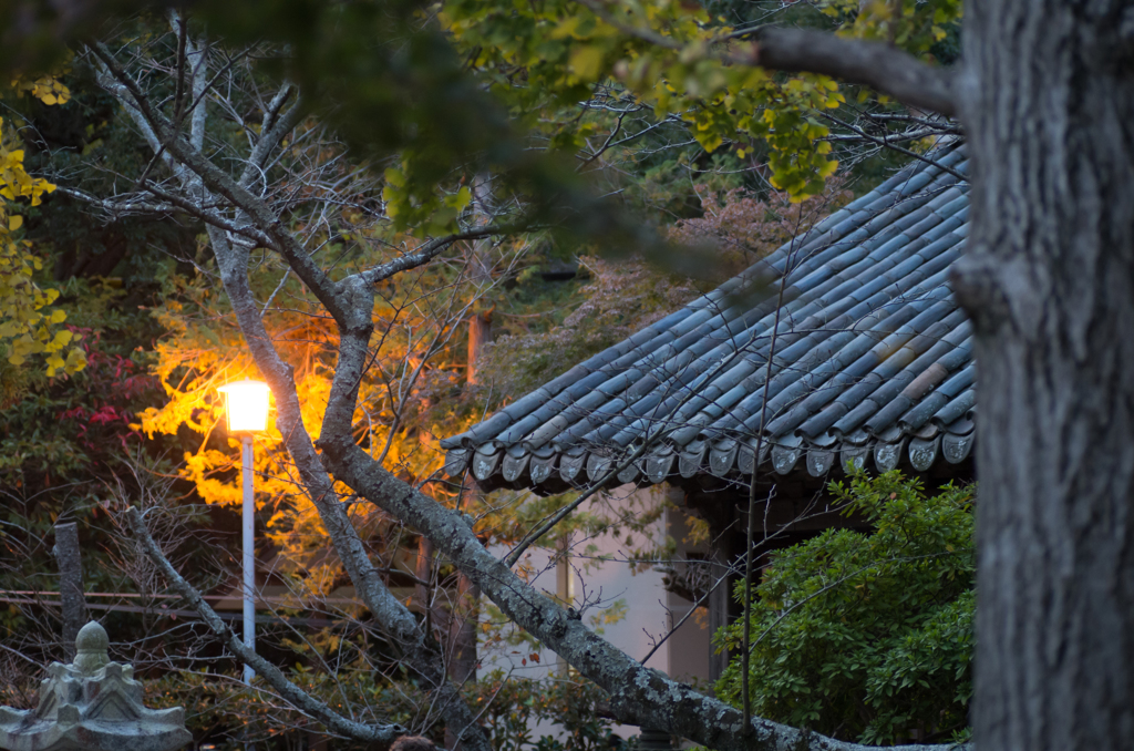 鎌倉