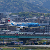 街を泳ぐジンベイ