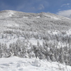 冬の縞枯山