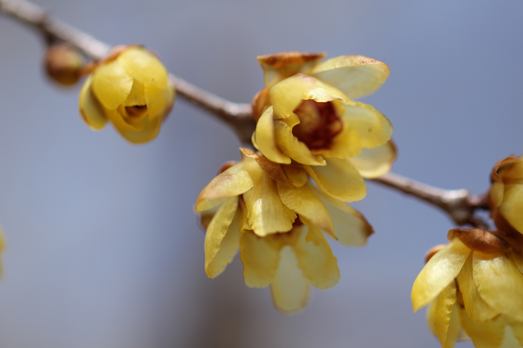 冬の陽を浴びて