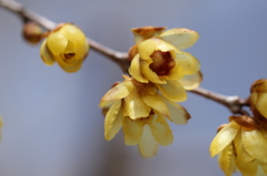 冬の陽を浴びて