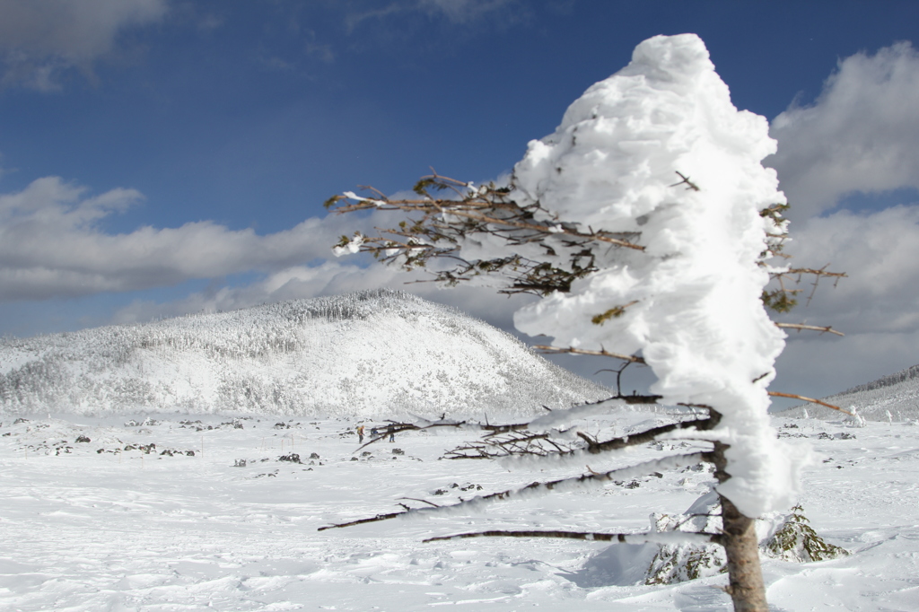 風雪に耐える