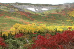 紅葉と残雪