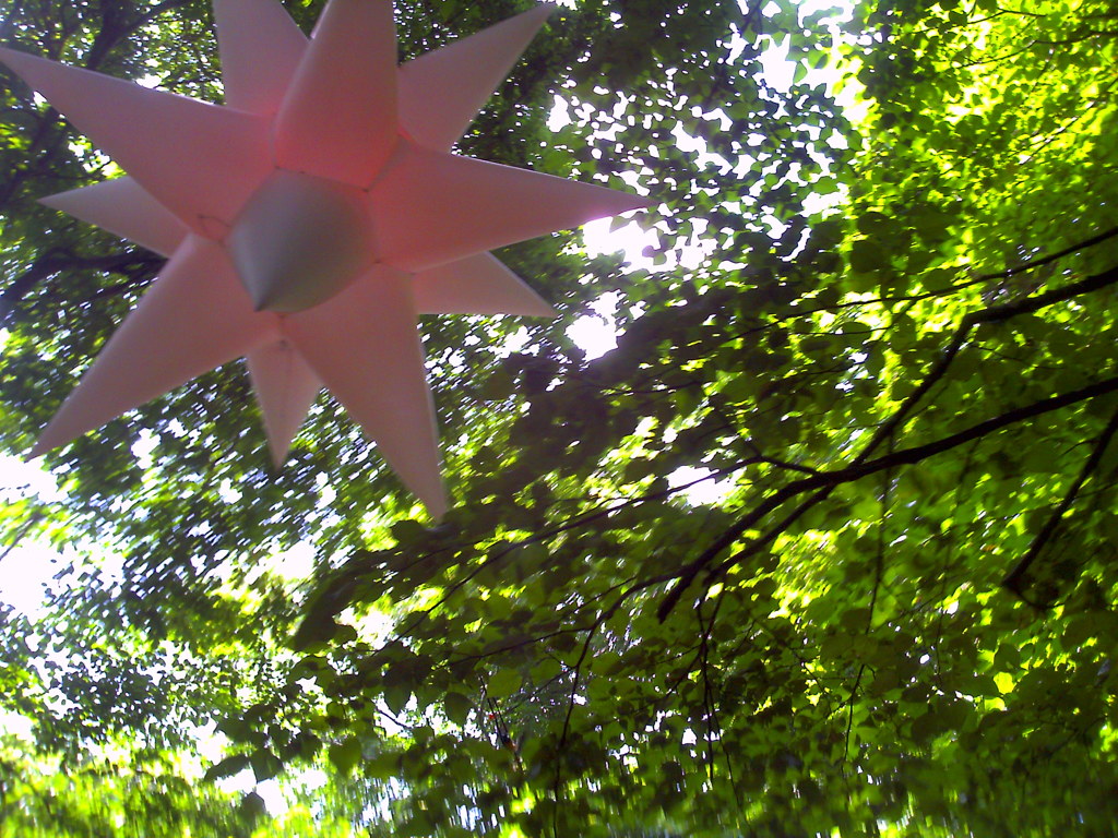 毎年撮影してる