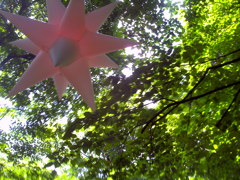 毎年撮影してる